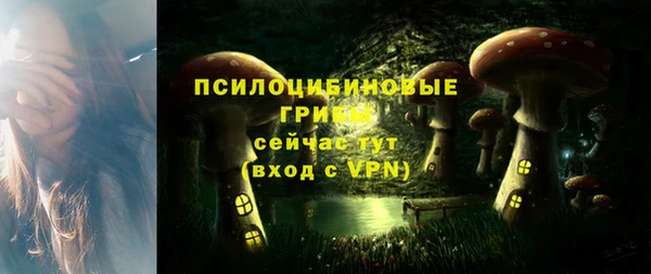 дмт Покачи