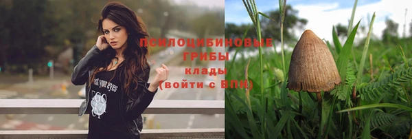 дмт Покачи