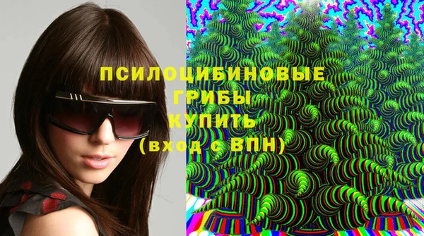дмт Покачи