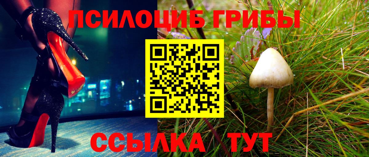 Псилоцибиновые грибы прущие грибы  Псилоцибиновые грибы мухоморы  Калининград  Вход с VPN 