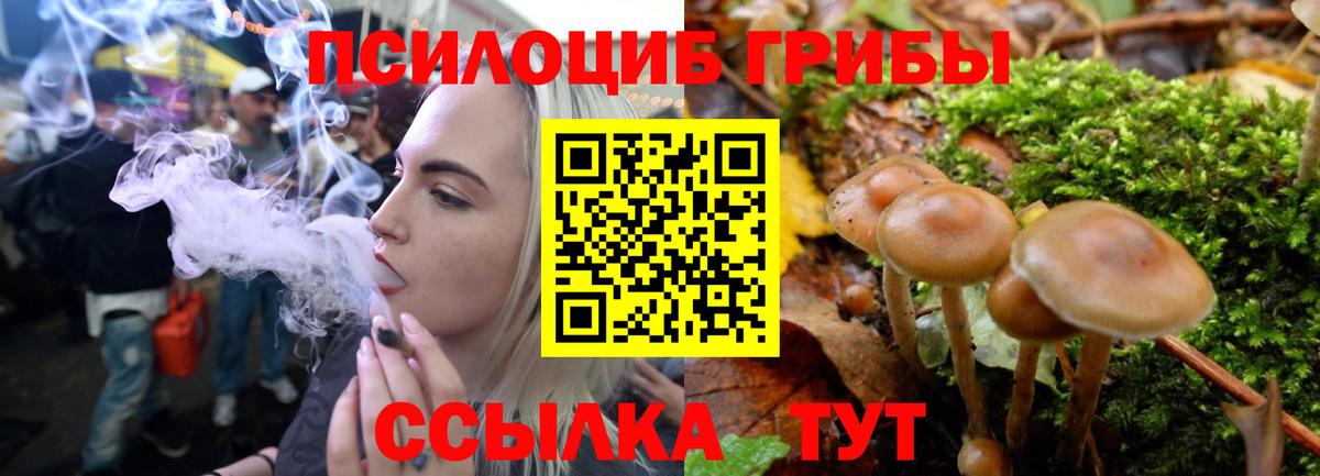 Галлюциногенные грибы MAGIC MUSHROOMS Калининград